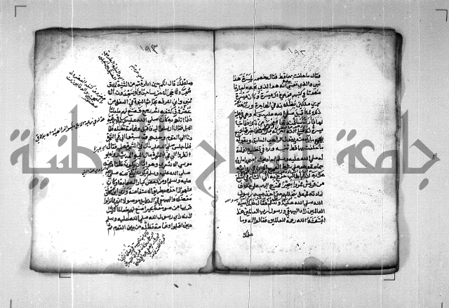 شرح الهمزية  