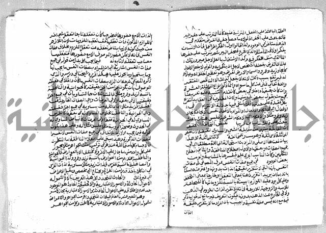 الهدهدي 