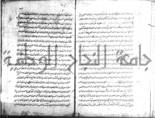 منية الفتى 