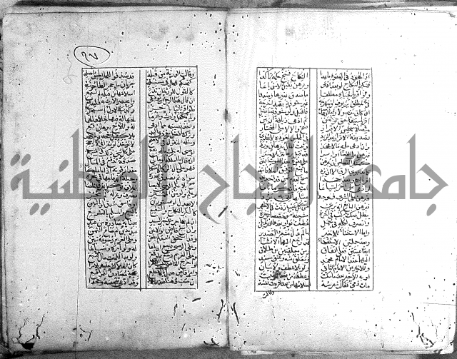 خلاصة التنوير 