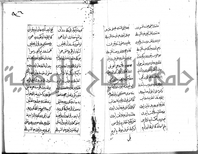 كتاب يوسف زليخا المؤلف 