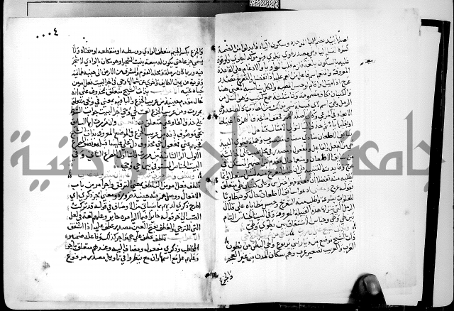 البحر الفائض في شرح ديوان ابن الفارض البوريني 