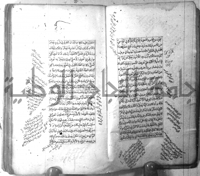 شرح الشافية 