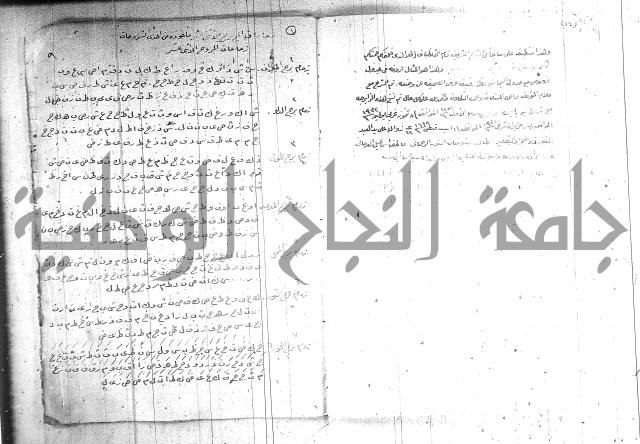الرتقة السهيلية  