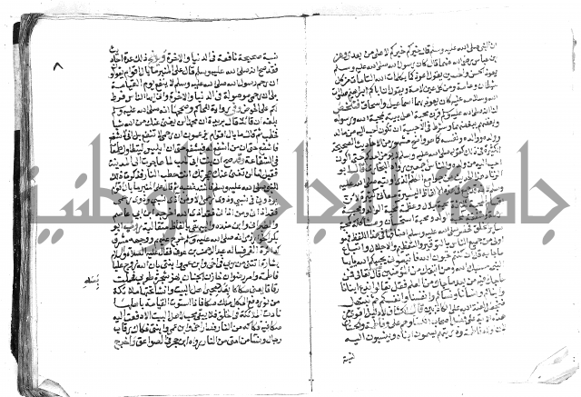 تحفة بن عبد مناف