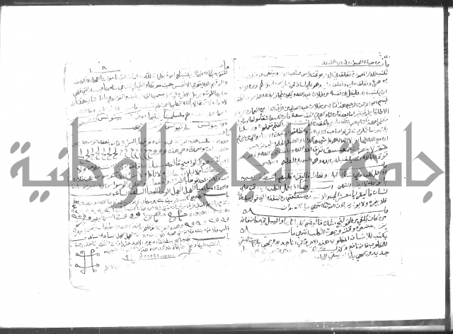 رسالة مشتملة على فوائد شتى كحيات الحيوان وغيرها 