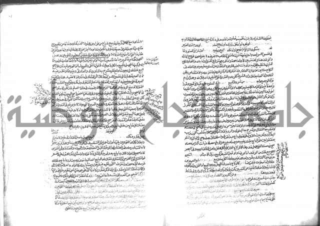 شرح الرملي 2