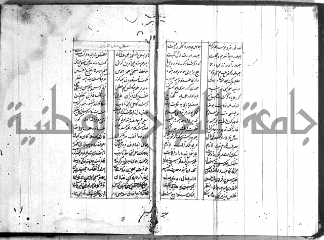 نظم تركي