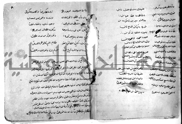 مولد النبي المصطفى