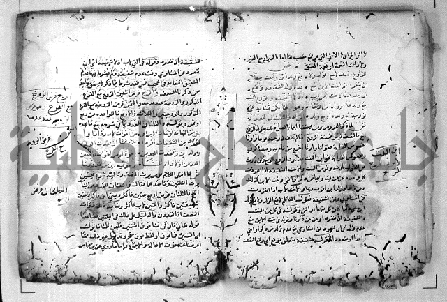 الدرة المعنية في شرح الفارضية 