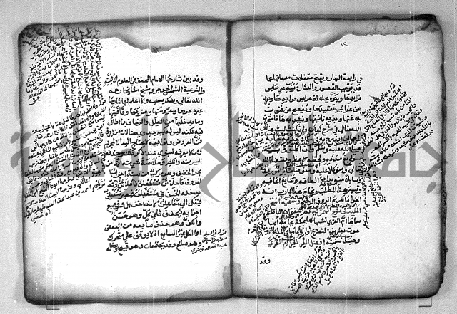 شرح الهمزية  