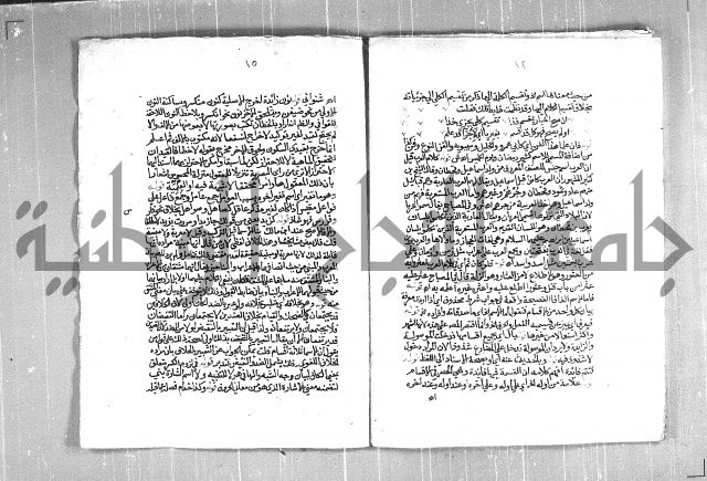 حاشية السجاعي على شرح قطر الندى وبل الصدى لابن هشام