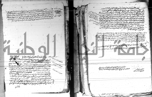 الفتاوى الحسينية