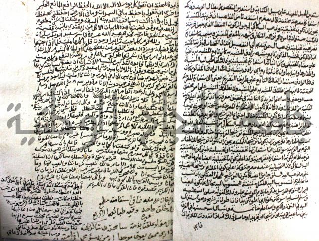 تنقيح العبارة باوفى اشارة في فن الاستعارة